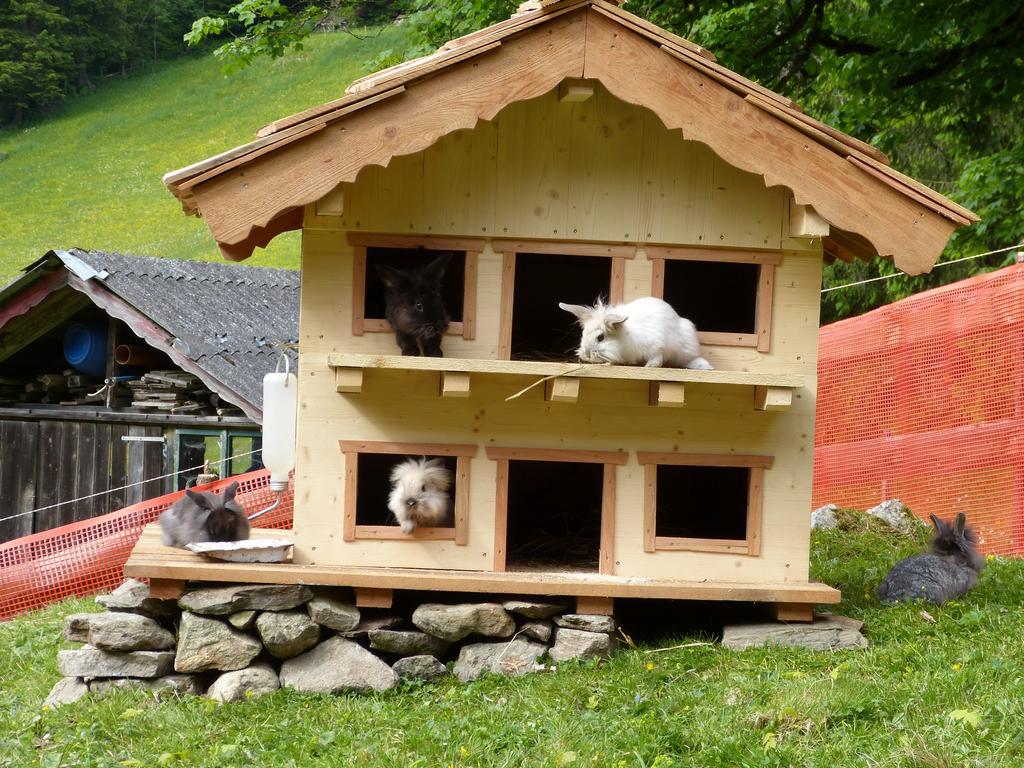 Schieplechnerhof Διαμέρισμα Schladming Εξωτερικό φωτογραφία