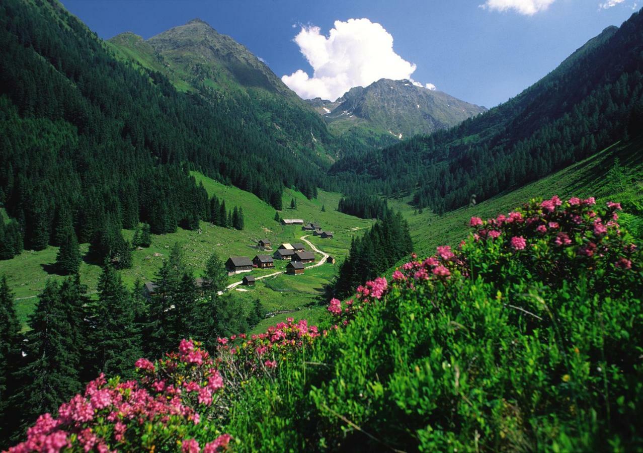 Schieplechnerhof Διαμέρισμα Schladming Εξωτερικό φωτογραφία