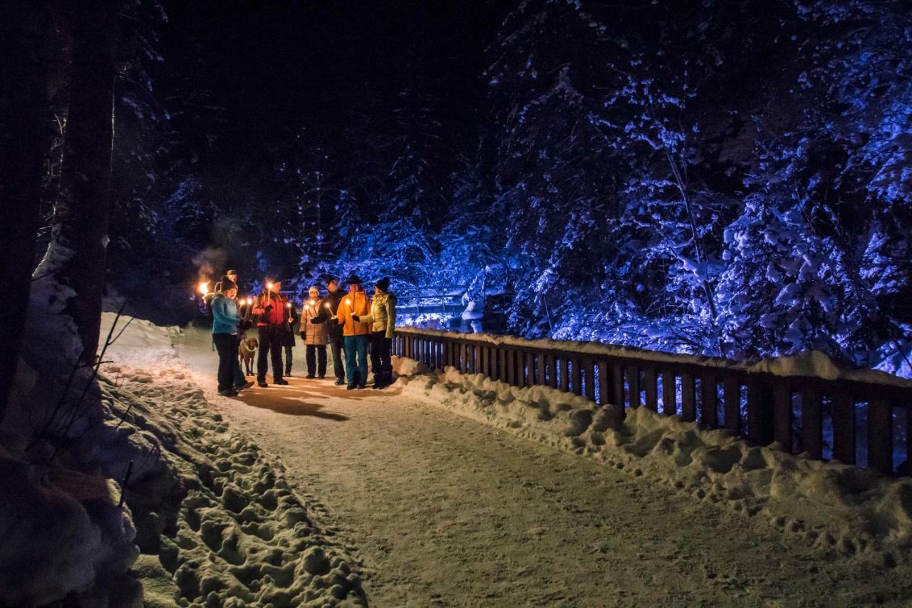 Schieplechnerhof Διαμέρισμα Schladming Εξωτερικό φωτογραφία