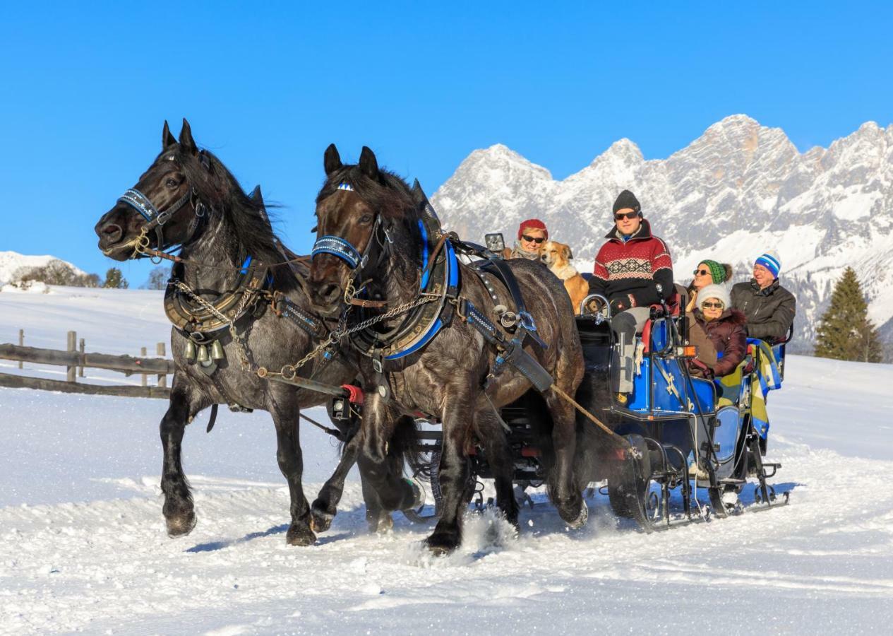 Schieplechnerhof Διαμέρισμα Schladming Εξωτερικό φωτογραφία